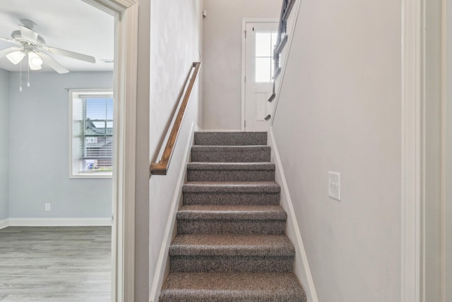 974 Bonellis Ln, Clarksville, TN 37040 - stairway with ceiling fan, wood finished floors, and baseboards