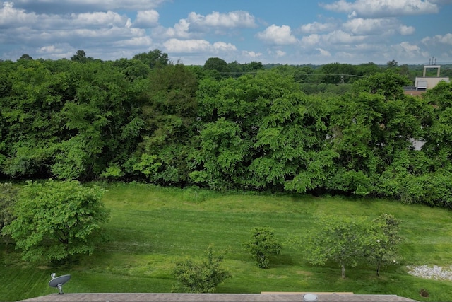 102 Cobbler Cir, Hendersonville, TN 37075 - view of undeveloped land