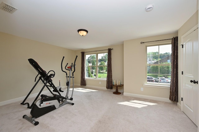102 Cobbler Cir, Hendersonville, TN 37075 - workout area with baseboards and carpet flooring