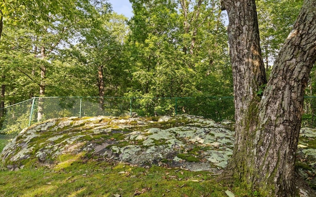414 Gentlemens Rdg, Signal Mountain, TN 37377 - view of undeveloped land