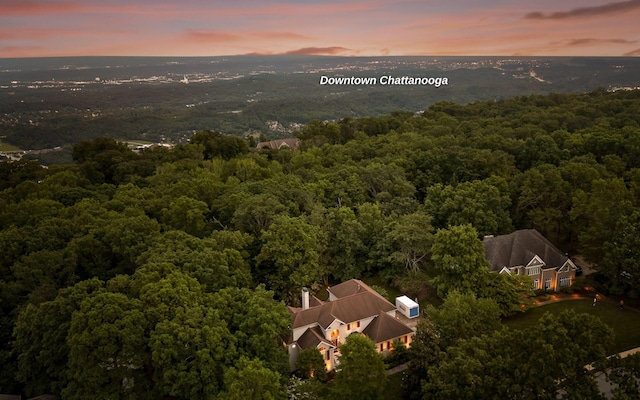 414 Gentlemens Rdg, Signal Mountain, TN 37377 - view of subject property with a heavily wooded area