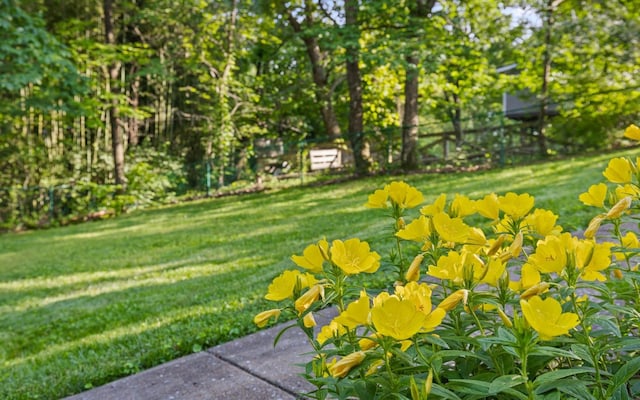 414 Gentlemens Rdg, Signal Mountain, TN 37377 - view of grassy yard