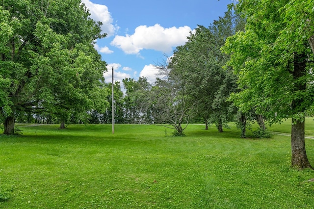 3238 Murphy Ln, Columbia, TN 38401 - view of community featuring a lawn