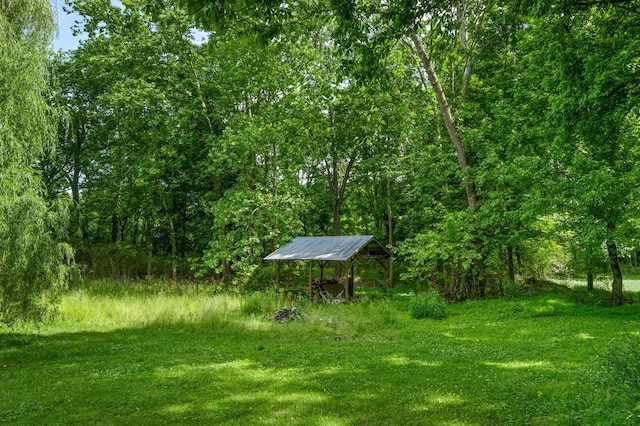 3238 Murphy Ln, Columbia, TN 38401 - view of yard with a detached carport and a view of trees