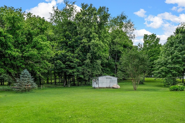 3238 Murphy Ln, Columbia, TN 38401 - view of grassy yard