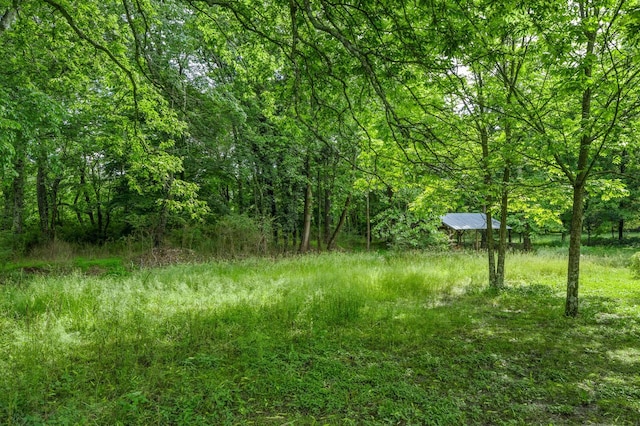 3238 Murphy Ln, Columbia, TN 38401 - view of yard featuring a forest view
