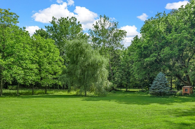 3238 Murphy Ln, Columbia, TN 38401 - view of green lawn with a forest view