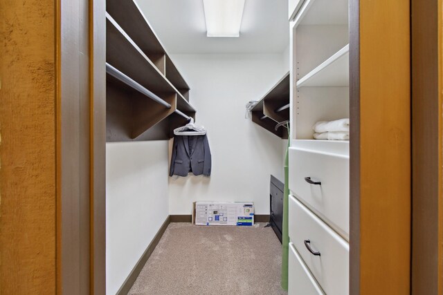 100 Acree Ln, Estill Springs, TN 37330 - spacious closet with carpet