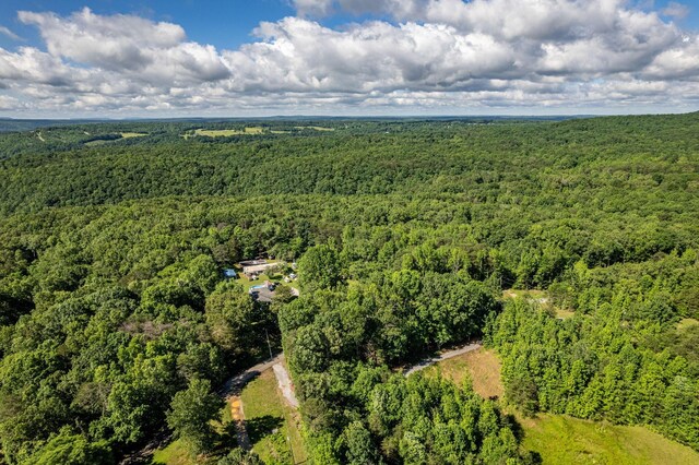 75 Pruitt Ln, Trenton, GA 30752 - aerial view of a forest
