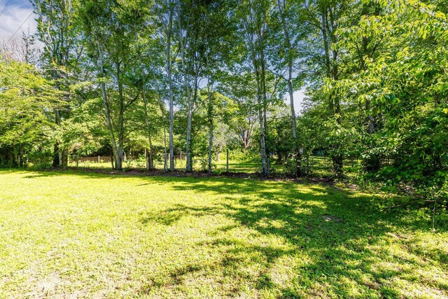 75 Pruitt Ln, Trenton, GA 30752 - view of grassy yard