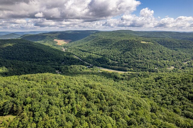 75 Pruitt Ln, Trenton, GA 30752 - view of mountain background with a heavily wooded area