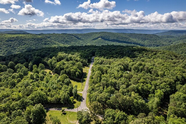 75 Pruitt Ln, Trenton, GA 30752 - drone / aerial view of a heavily wooded area