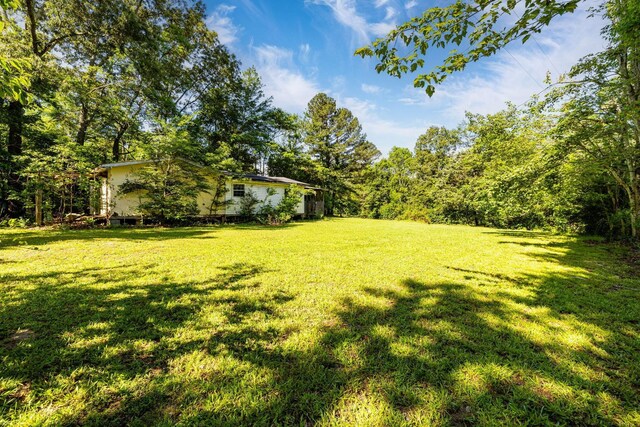 75 Pruitt Ln, Trenton, GA 30752 - view of green lawn