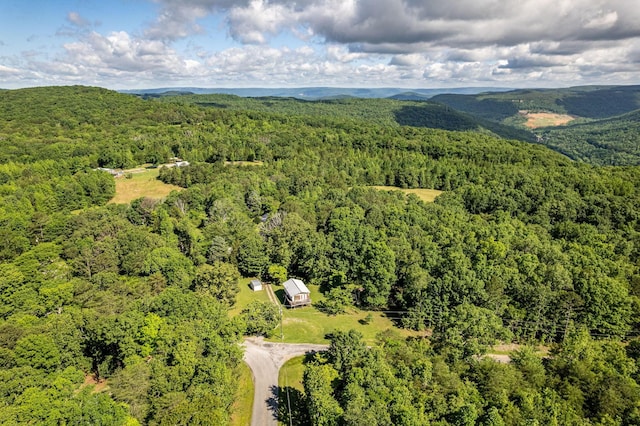 75 Pruitt Ln, Trenton, GA 30752 - aerial view of a forest