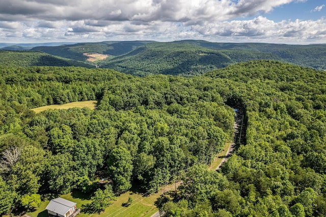 75 Pruitt Ln, Trenton, GA 30752 - view of mountain background with a forest