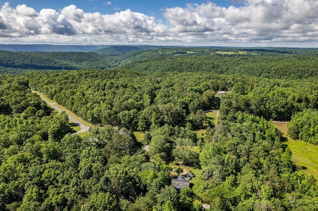 75 Pruitt Ln, Trenton, GA 30752 - aerial view of a forest