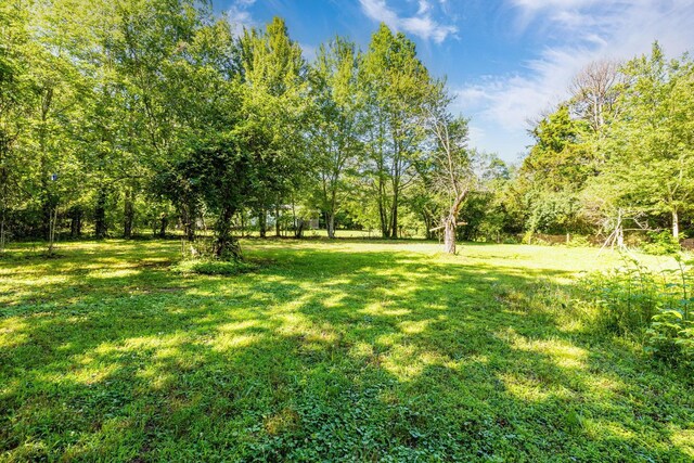 75 Pruitt Ln, Trenton, GA 30752 - view of grassy yard