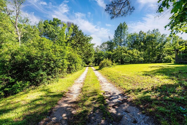 75 Pruitt Ln, Trenton, GA 30752 - view of road