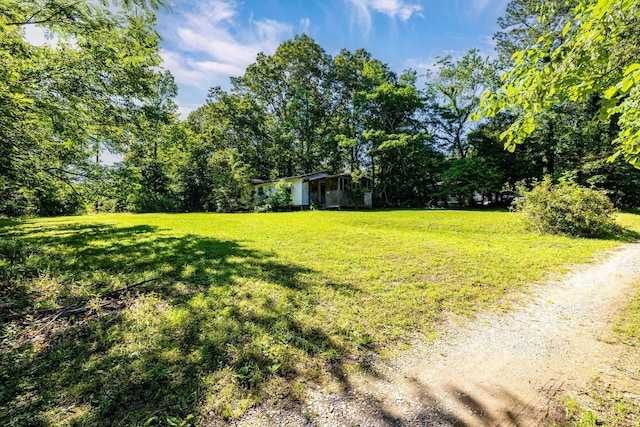 75 Pruitt Ln, Trenton, GA 30752 - view of grassy yard with a view of trees
