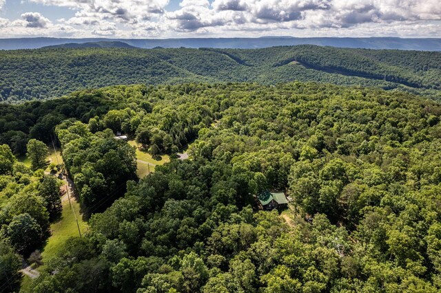 75 Pruitt Ln, Trenton, GA 30752 - bird's eye view of a forest and mountains