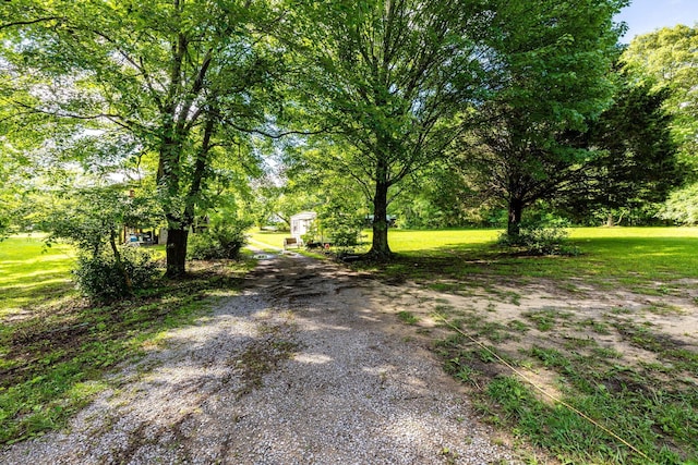 75 Pruitt Ln, Trenton, GA 30752 - view of dirt / gravel road