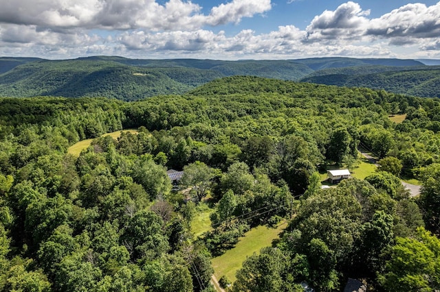 75 Pruitt Ln, Trenton, GA 30752 - aerial view of a forest and a mountain backdrop