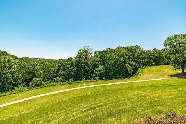 4047 Ironwood Dr, Greenbrier, TN 37073 - photo 18