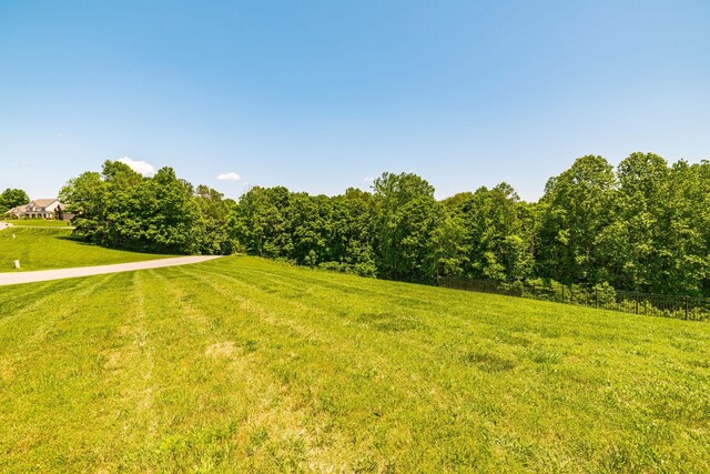 4047 Ironwood Dr, Greenbrier, TN 37073 - photo 47