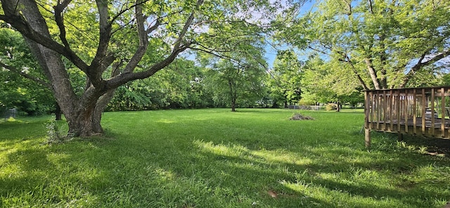 739 Gardendale Ln, Clarksville, TN 37040 - photo 25