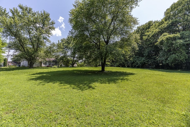 739 Gardendale Ln, Clarksville, TN 37040 - photo 24