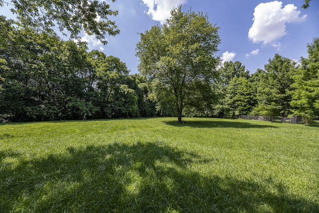 739 Gardendale Ln, Clarksville, TN 37040 - photo 29