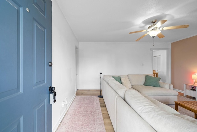 202 Jim Thorpe Dr, Clarksville, TN 37042 - living room featuring ceiling fan, light wood-type flooring, and baseboards