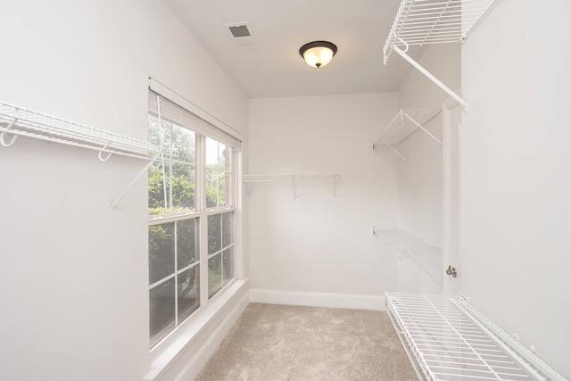 2732 Avington Ct, Murfreesboro, TN 37128 - walk in closet with carpet flooring