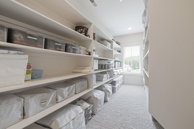 235 Belgian Rd, Nolensville, TN 37135 - photo 49