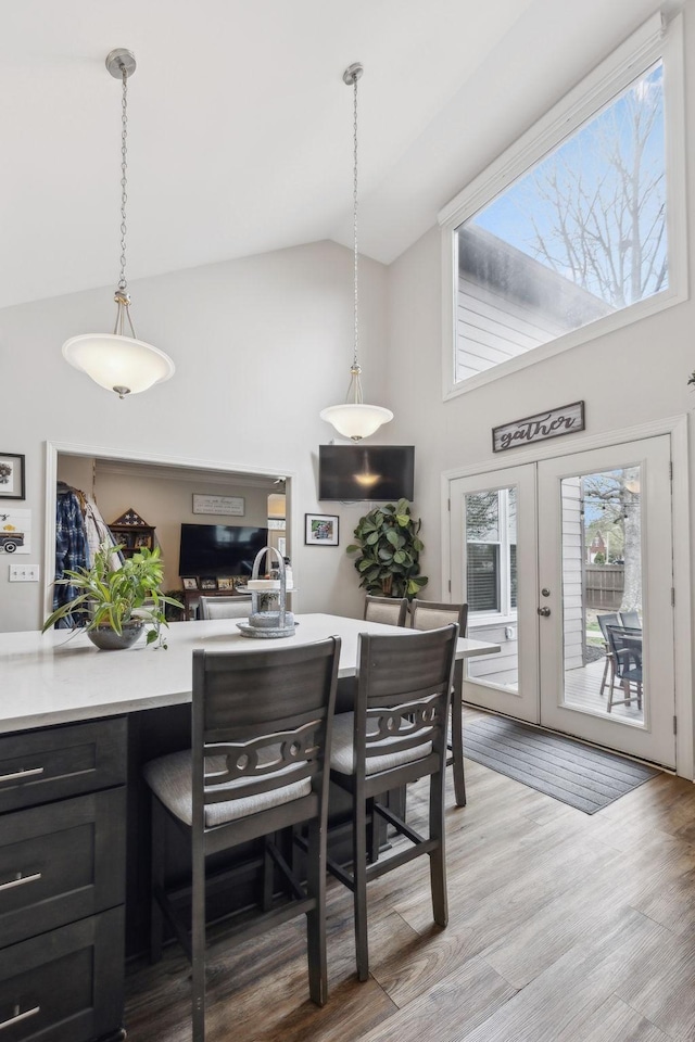 803 Bradford Pl, Murfreesboro, TN 37130 - dining area featuring high vaulted ceiling and light wood-style flooring