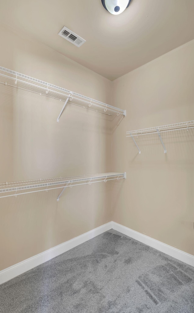 499 Williamsport Dr, Smyrna, TN 37167 - spacious closet featuring carpet flooring