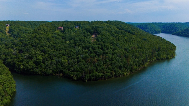 0 Bridge Pointe, Sparta, TN 38583