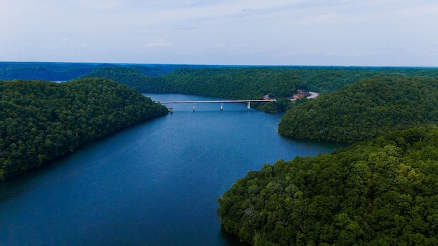 0 Bridge Pointe, Sparta, TN 38583