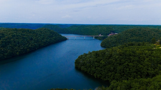 0 Bridge Pointe, Sparta, TN 38583