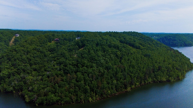 0 Bridge Pointe, Sparta, TN 38583 - photo 22
