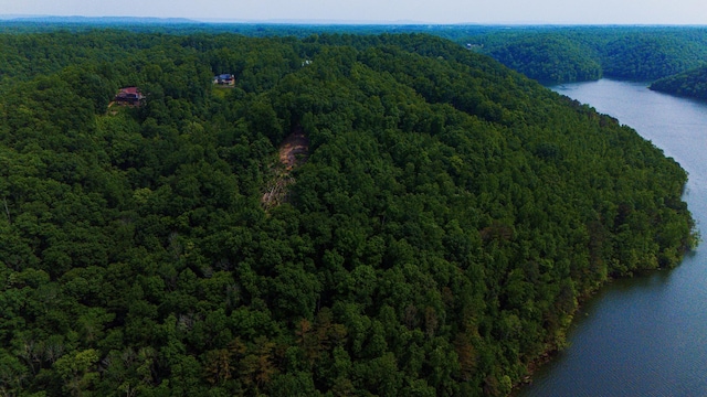 0 Bridge Pointe, Sparta, TN 38583 - photo 23
