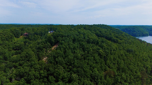 0 Bridge Pointe, Sparta, TN 38583 - photo 21