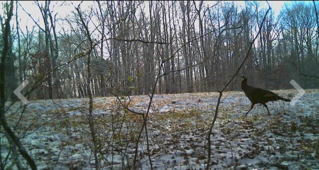 3250 Luther Ragan Rd, Palmyra, TN 37142