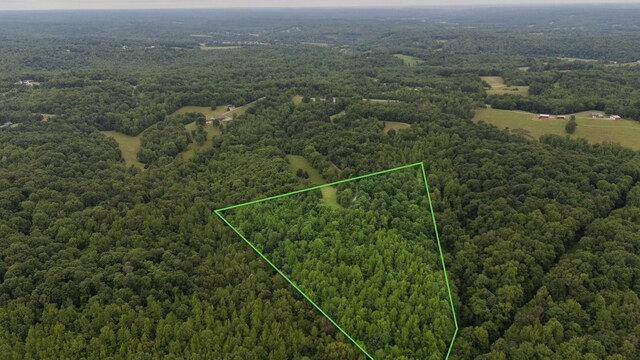 3250 Luther Ragan Rd, Palmyra, TN 37142