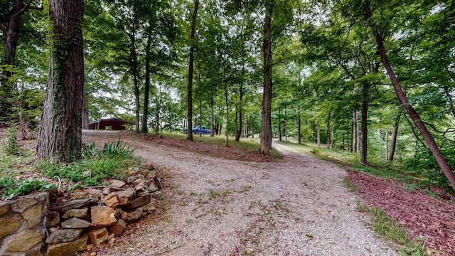 3250 Luther Ragan Rd, Palmyra, TN 37142