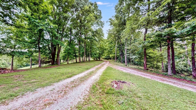 3250 Luther Ragan Rd, Palmyra, TN 37142