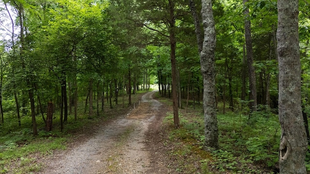 3250 Luther Ragan Rd, Palmyra, TN 37142