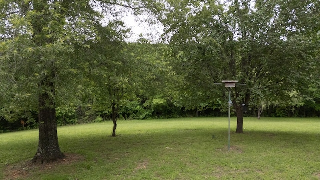 3250 Luther Ragan Rd, Palmyra, TN 37142