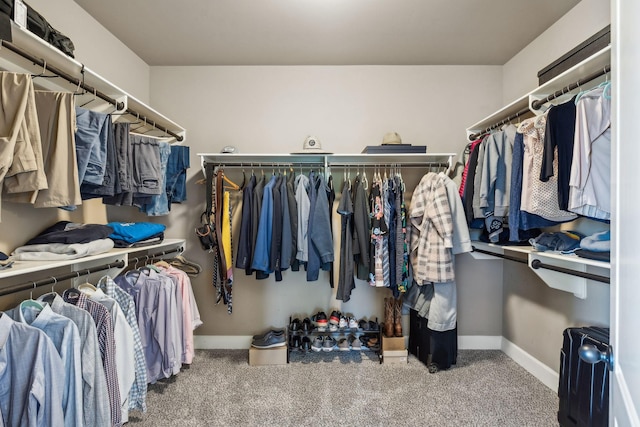 5108 Duckhorn Ct, Franklin, TN 37067 - spacious closet featuring carpet floors