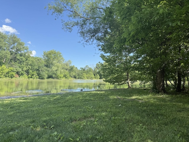 5108 Duckhorn Ct, Franklin, TN 37067 - view of grassy yard featuring a water view and a forest view